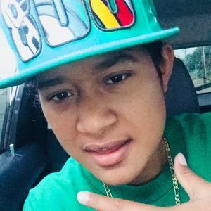 Meet your Posher, Kibozz